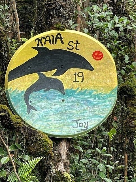 1st image of 18-1828 Naia St Lot 36