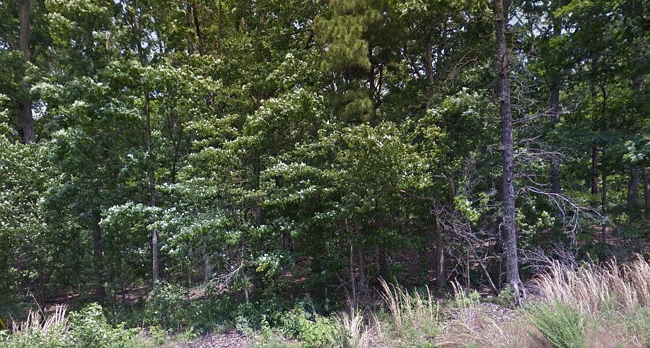 1st image of 16-32203 Westmorland Subdivision
