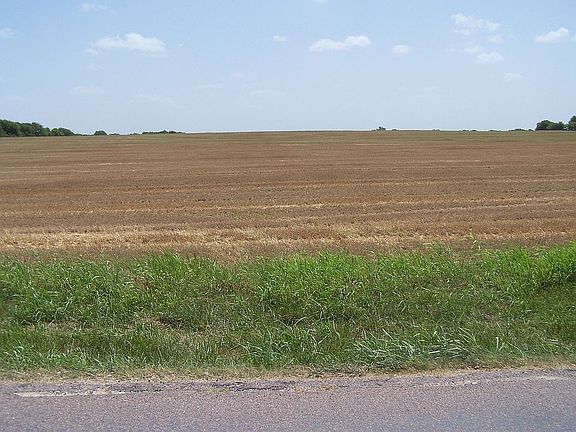 View east from Ponderosa Rd