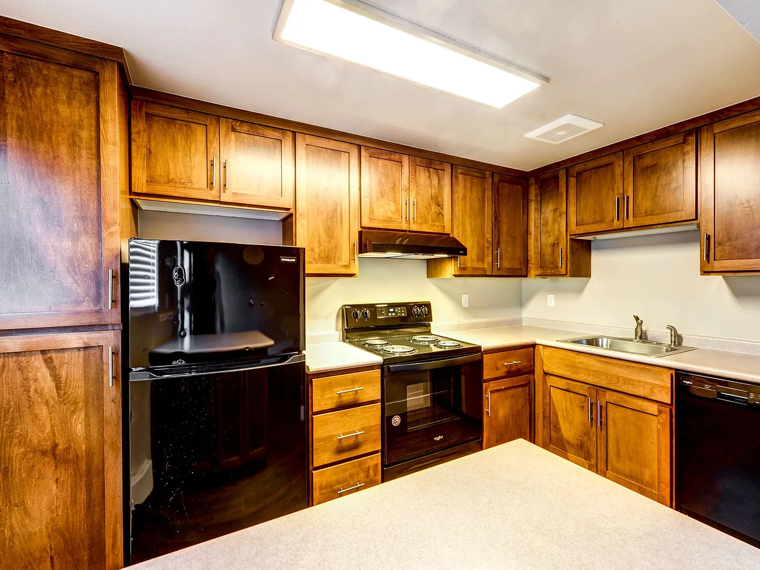 1 bed, $999 — Photo 2