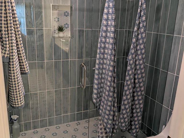 Master Bathroom Shower