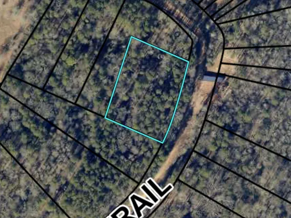0 Morris Trl Lot 1, Carnesville, GA 30521