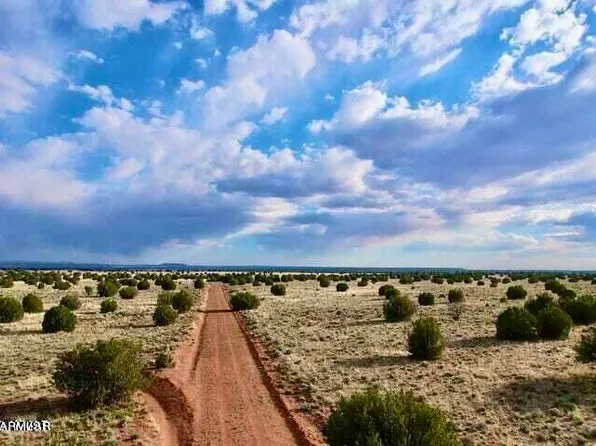 River Meadows Rnch Unit 3, Concho, AZ 85924