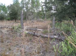 909 Calendula Dr, Lake Wales, FL 33898