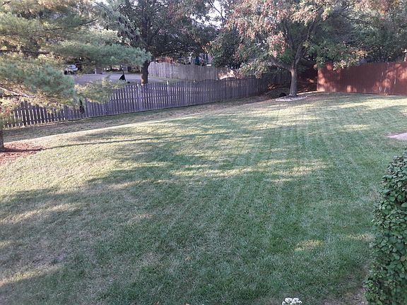 Manicured back yard