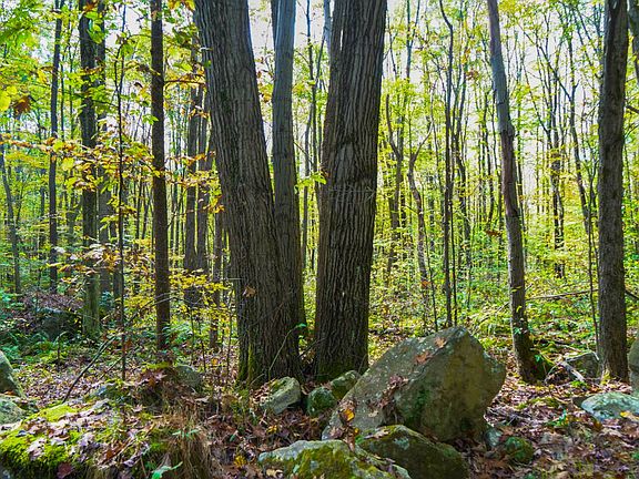 3rd image of 0 Rogers Mill Rd