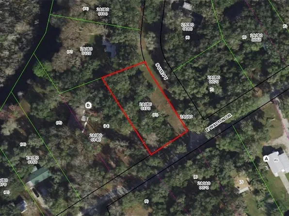 12345 E Walton Dr, Floral City, FL 34436