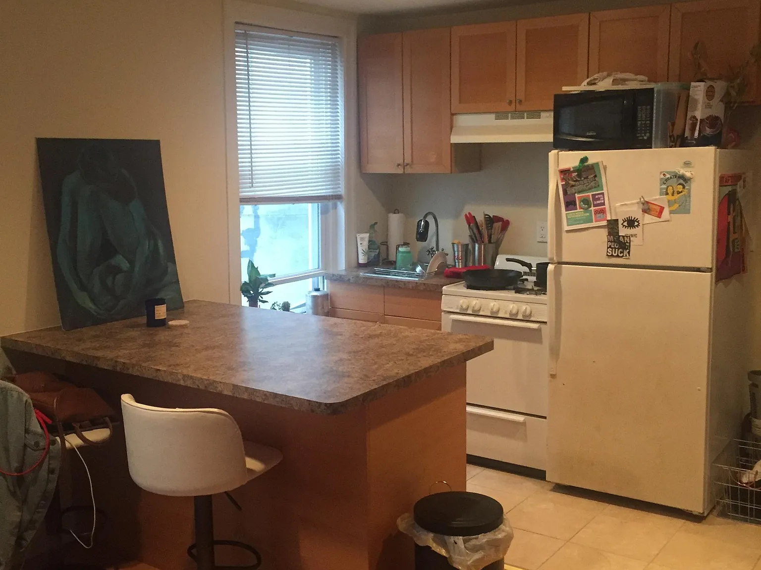 1 bed, 500 sqft, $1,250 — Photo 2