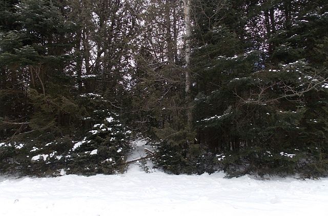 1st image of Norwood Drive Lots 997-1000