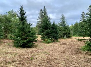 X Leighton Point Rd, Pembroke, ME 04666