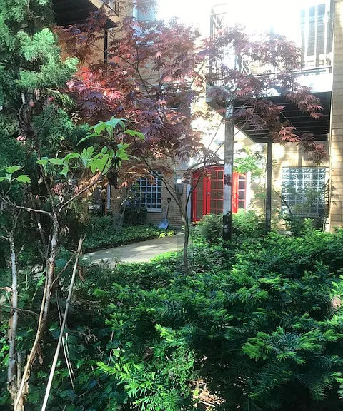 7621 N Greenview Ave #1C — Photo 9