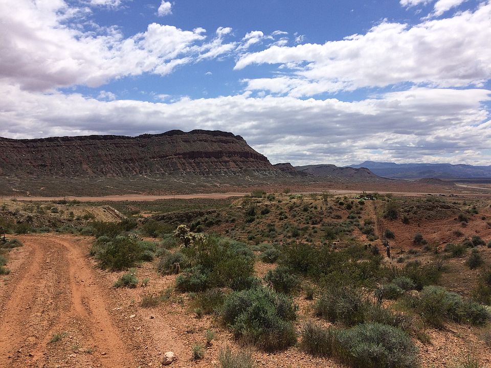 View / Dirt Road