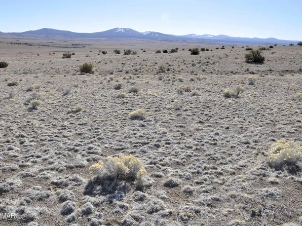 152 County Road 3371, Concho, AZ 85924