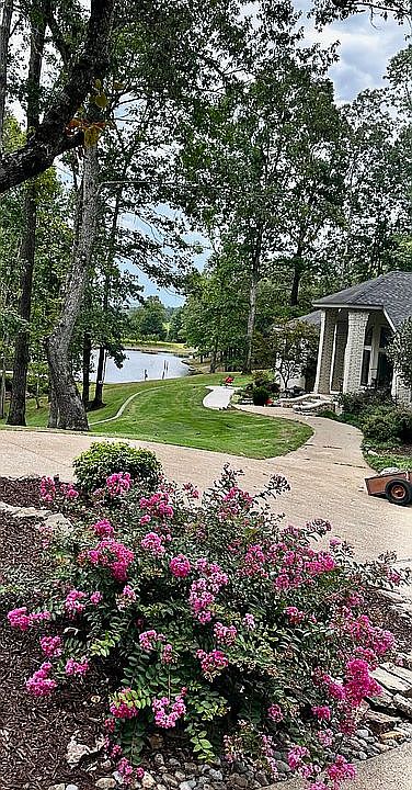 Pond View