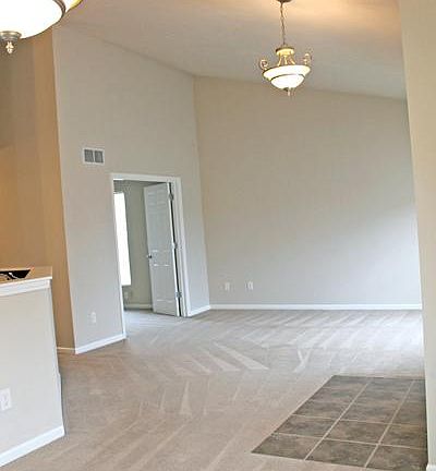 Living Room - Vaulted ceilings