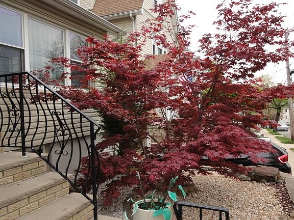 5th image of 141 Elm St