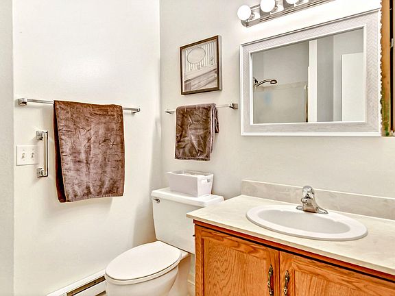 Master bathroom (with shower)