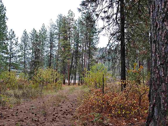 4th image of 4004C Northport Flat Creek Rd