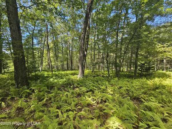 0 Hillbrook Dr, Wilkes Barre, PA 18702