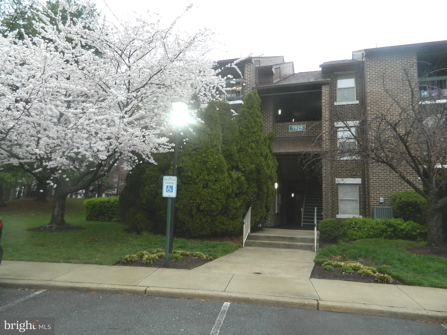 Willow Wood Codm — Photo 1