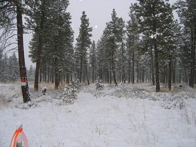 2nd image of 0 Deer View Ln