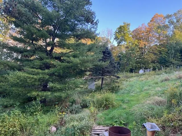 407 S Britain Rd — Photo 9