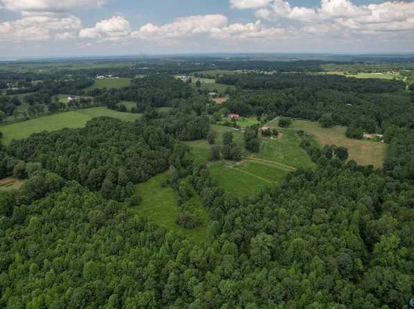 Sweetgum Rd, Ider, AL 35981