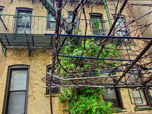 1722 Putnam Avenue image 27 of 30