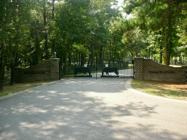 1145 Secretariat Run, Awendaw, SC 29429