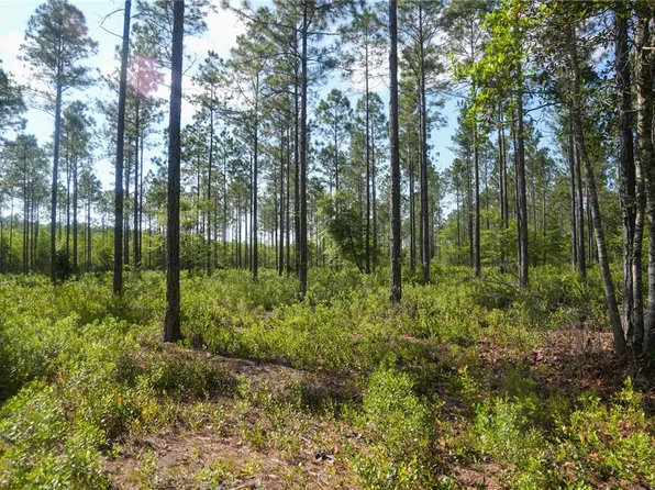 5015 Wood Duck Branch Rd, Blackshear, GA 31516