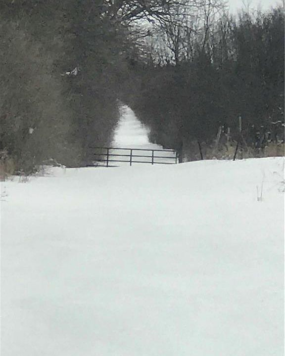 2nd image of 7200 Haendle Rd