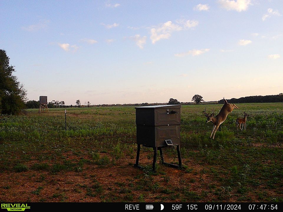 1st image of 719 County Road 193