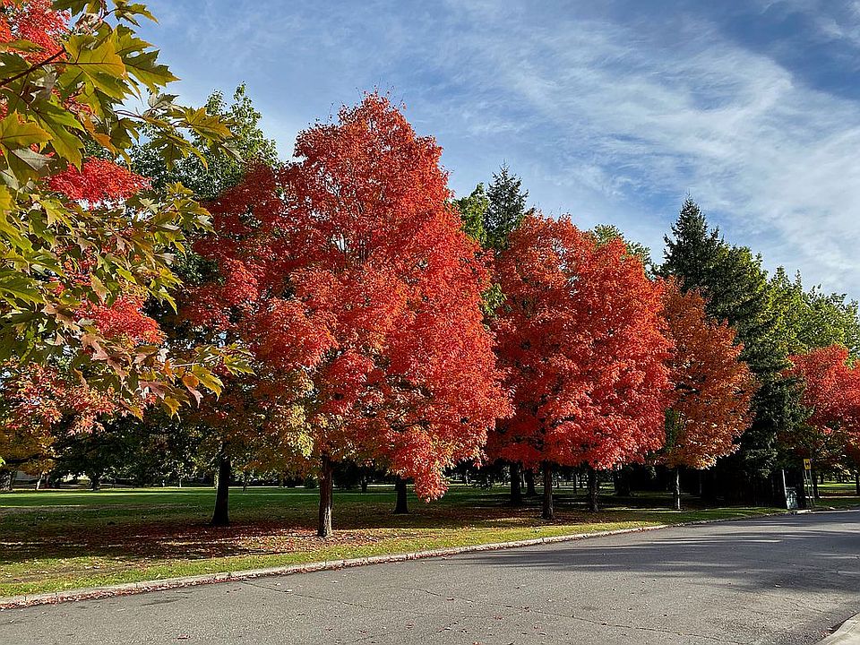 View of Corbin Park