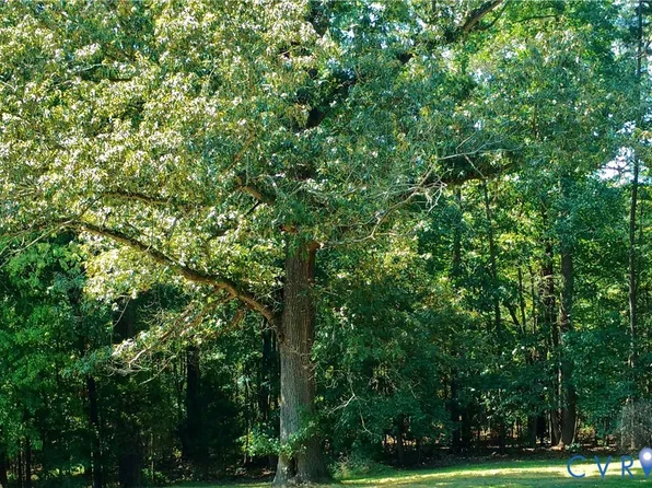 Patrick Henry Hwy, Jetersville, VA 23083