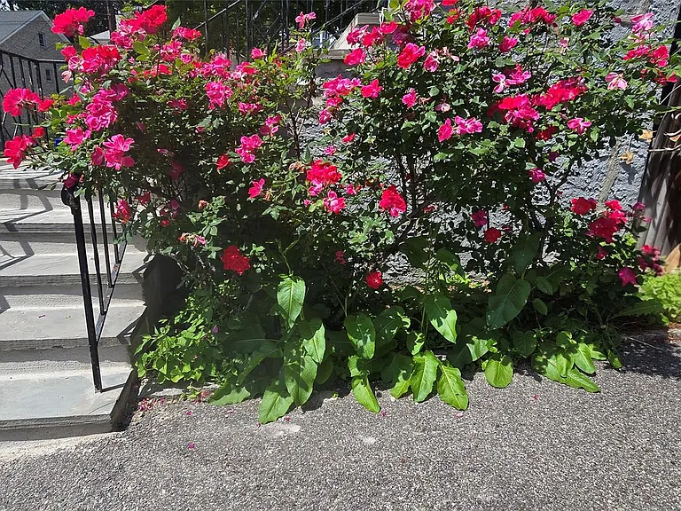 24 Anderson Ave — Photo 18