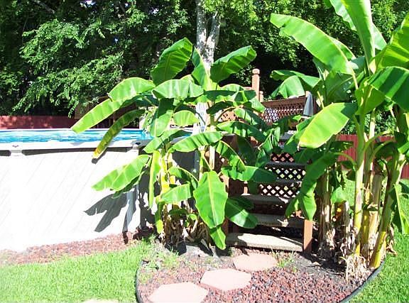 Pool Deck Entrance