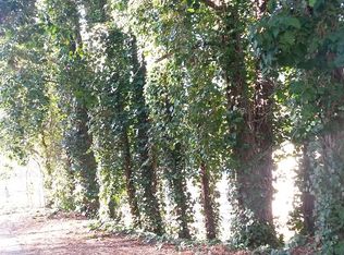 10435 Crabapple Rd, Roswell, GA 30075