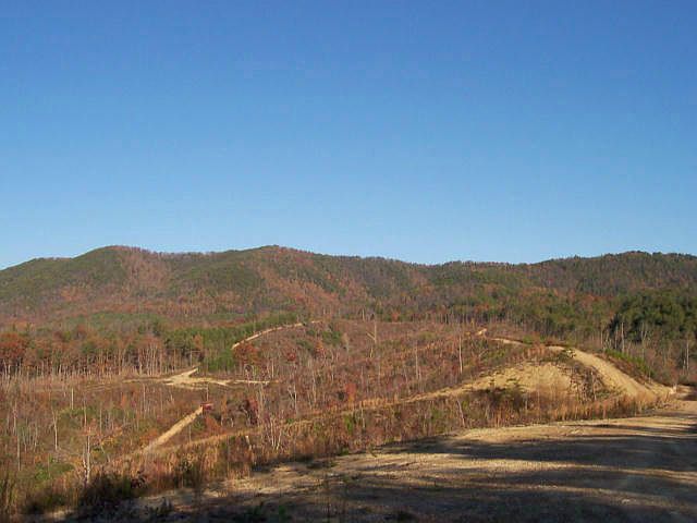 1st image of TN-360 2075-l