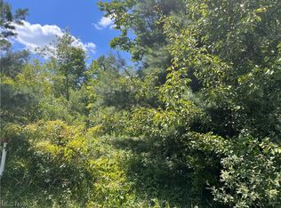 Lafayette Rd, Medina, OH 44256