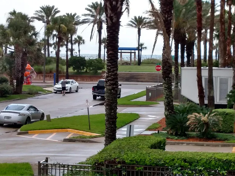View from kitchen window, oceanfront park and UNF art park on the left.