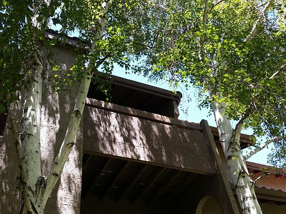 3rd image of 2250 Monroe St APT 391