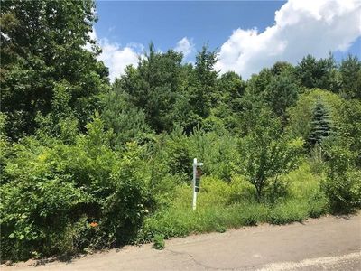 LOT 311 Old Indian Trail Ct, Fox Chapel, PA, 15238