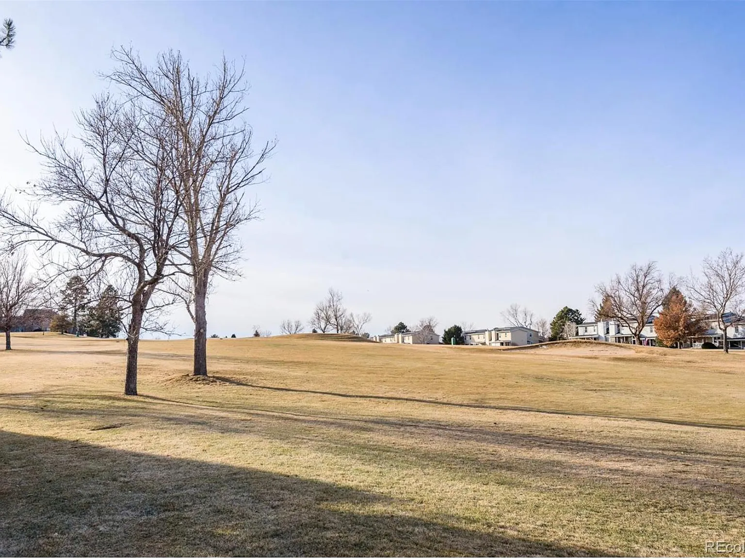 3 bed, 1282 sqft, $2,300 — Photo 4