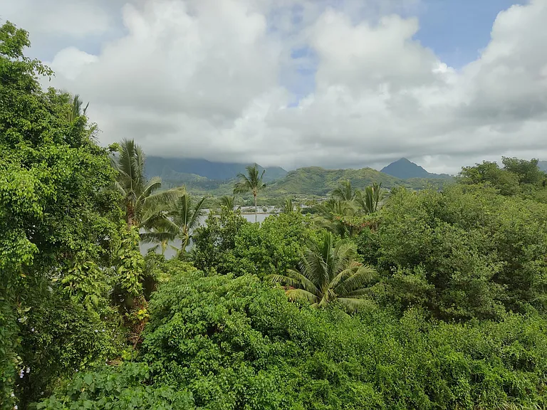 47-431 Kamehameha Hwy — Photo 28