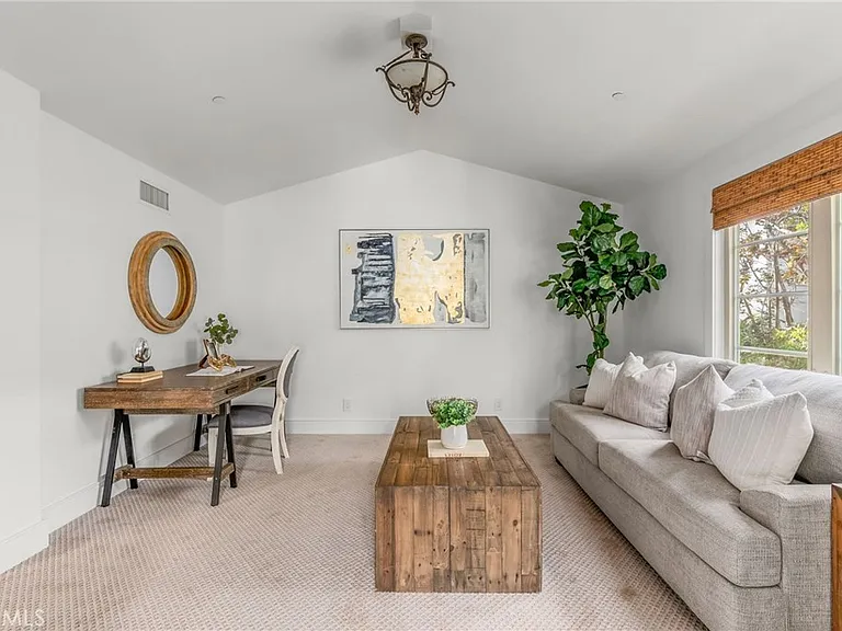 35002 Camino Capistrano — Photo 48