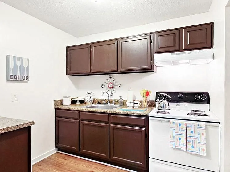 The Palms Apartments — Photo 13