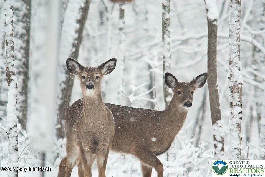 1st image of 407 Sassfras Rd