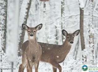 407 Sassfras Rd, Penn Forest Township, PA 18210