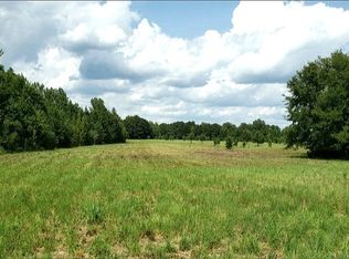 481 Cason Pond Rd, Warrenton, GA 30828