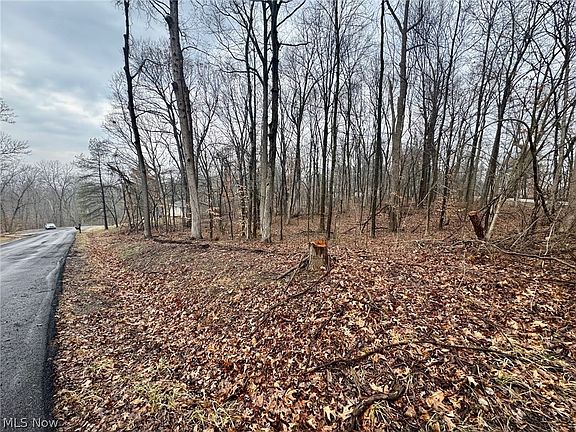3rd image of Forest Ln